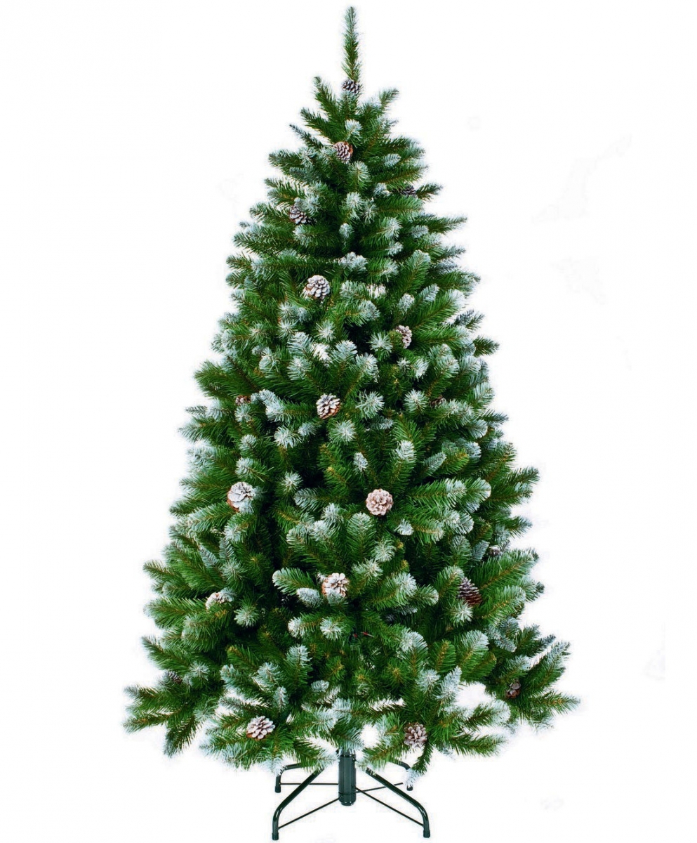 Фото Ель Triumph Tree с шишками Императрица заснеженная - 230 см
