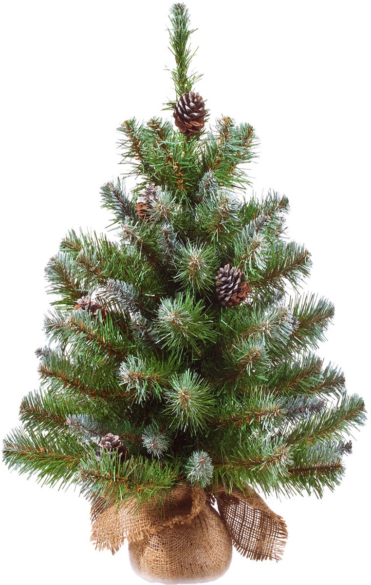 Фото Ель Triumph Tree с шишками Императрица заснеженная - 90 см (в мешочке)
