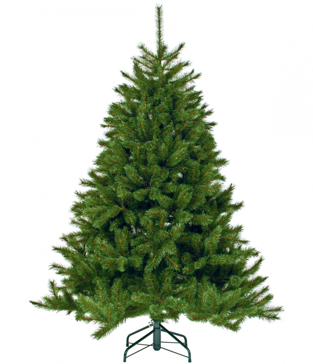 Фото Ель Triumph Tree Лесная красавица - 155 см