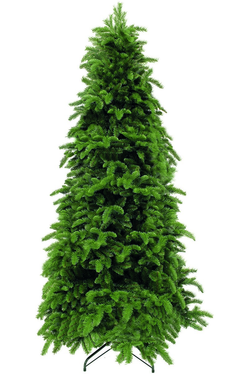 Фото Ель Triumph Tree Нормандия стройная - 260 см