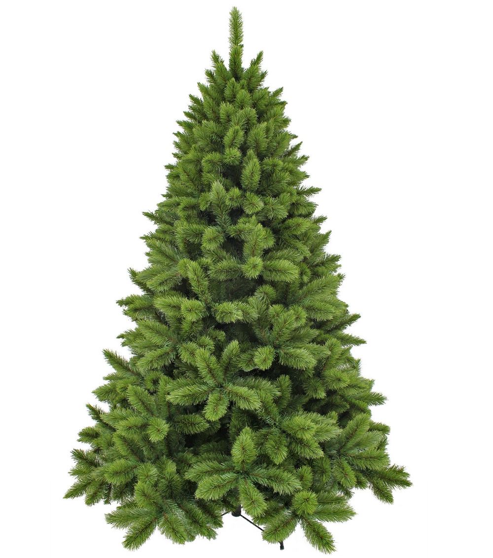 Фото Ель Triumph Tree Триумф Норд - 260 см