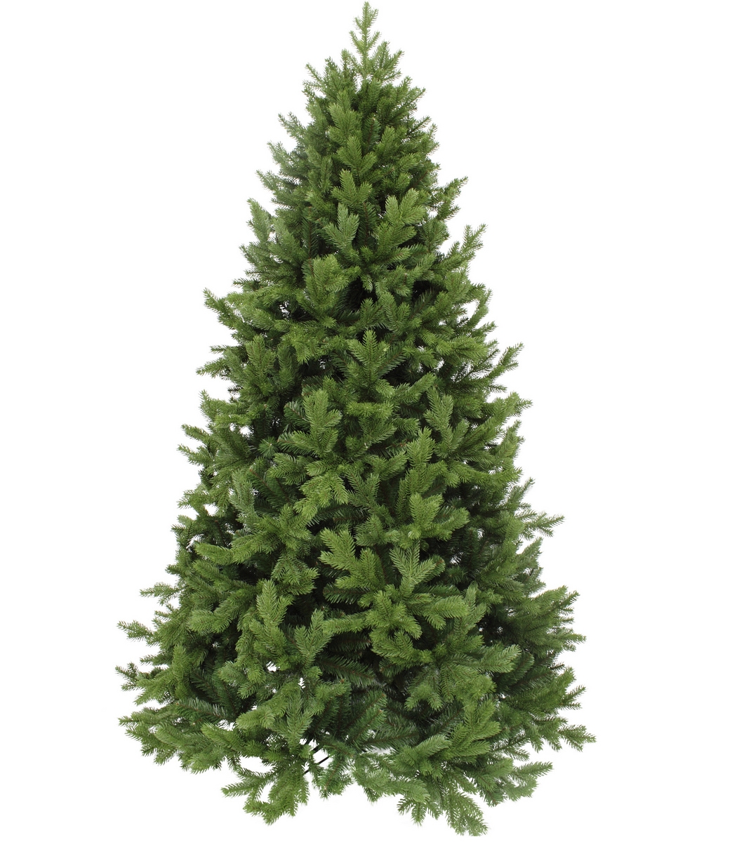 Фото Ель Triumph Tree Царская - 155 см