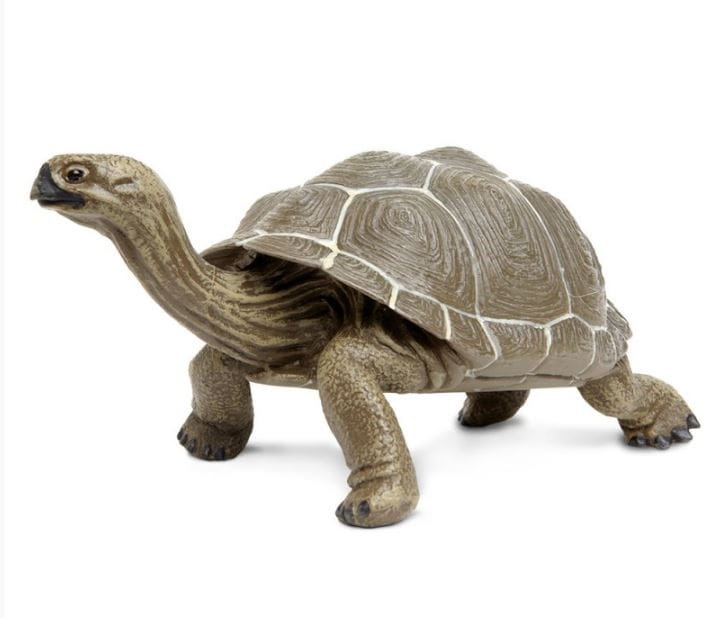 Фигурка SAFARI Сухопутная черепаха XL