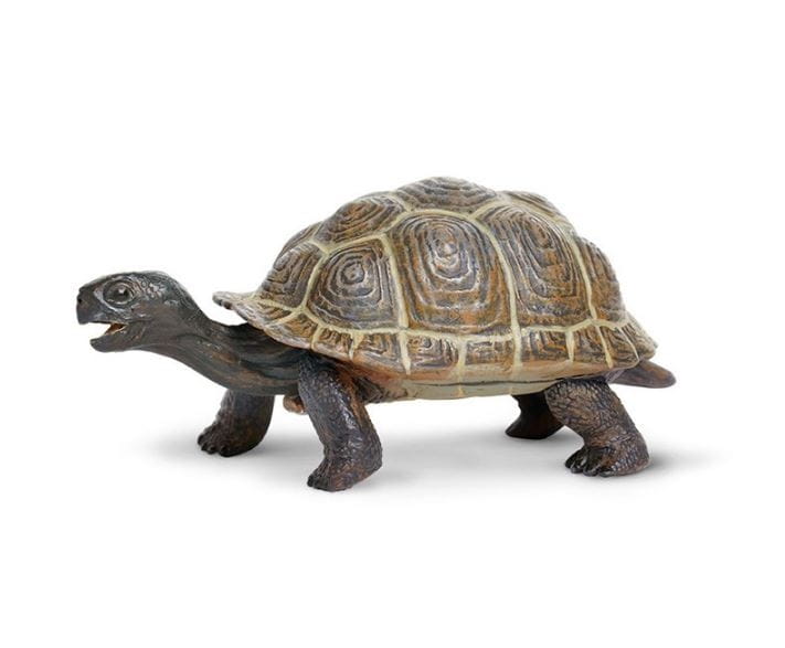 Фигурка SAFARI Сухопутная черепаха XL (детеныш)