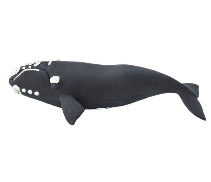 Фигурка SAFARI Южный гладкий кит