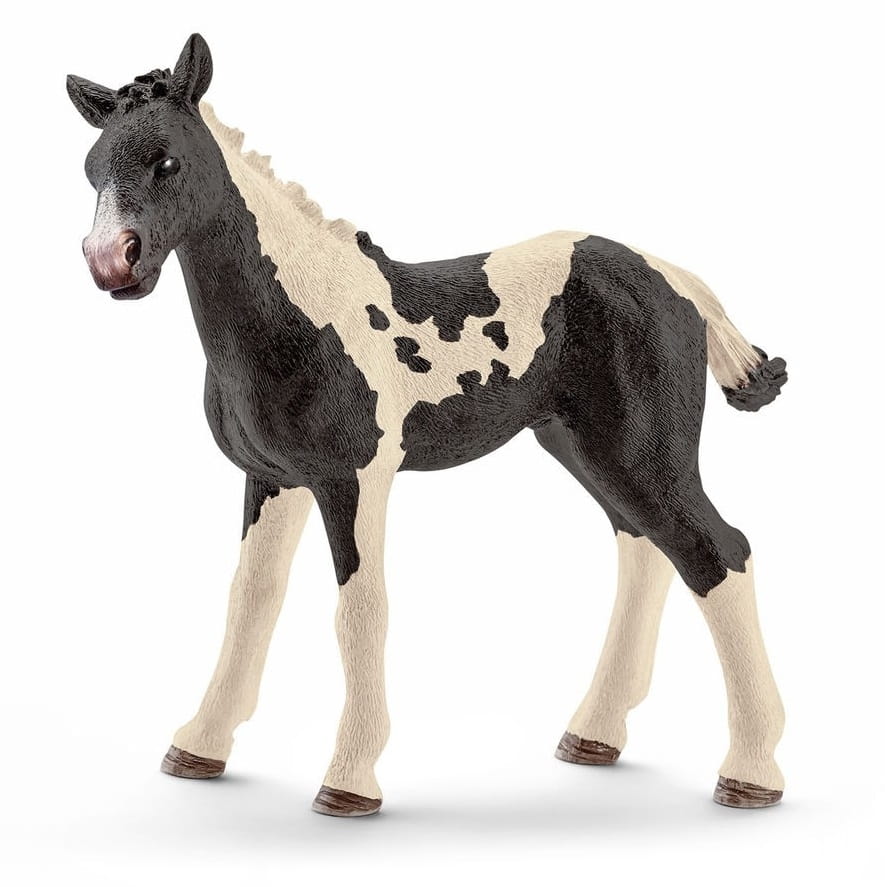   Schleich  