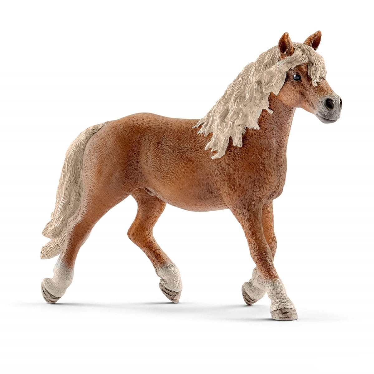   Schleich  