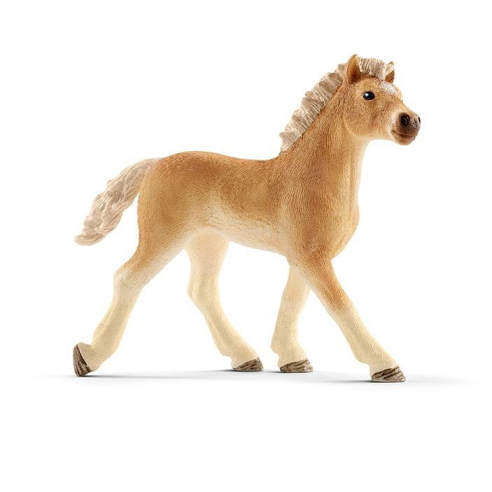   Schleich  