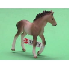 �������������� ����