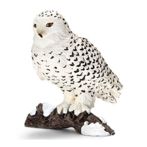   Schleich  