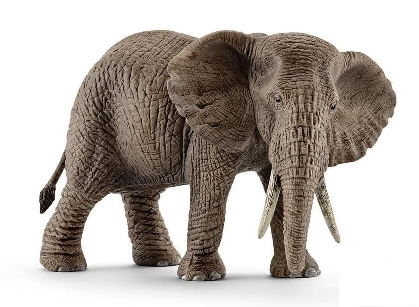 Фигурка SCHLEICH Африканский слон - самка