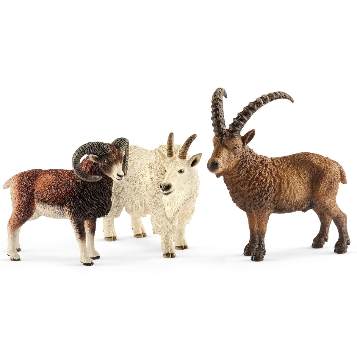   Schleich  