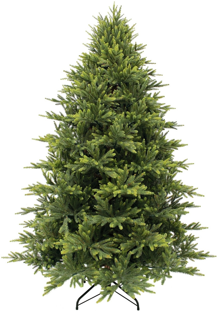 Фото Ель Triumph Tree Королевская Премиум - 215 см