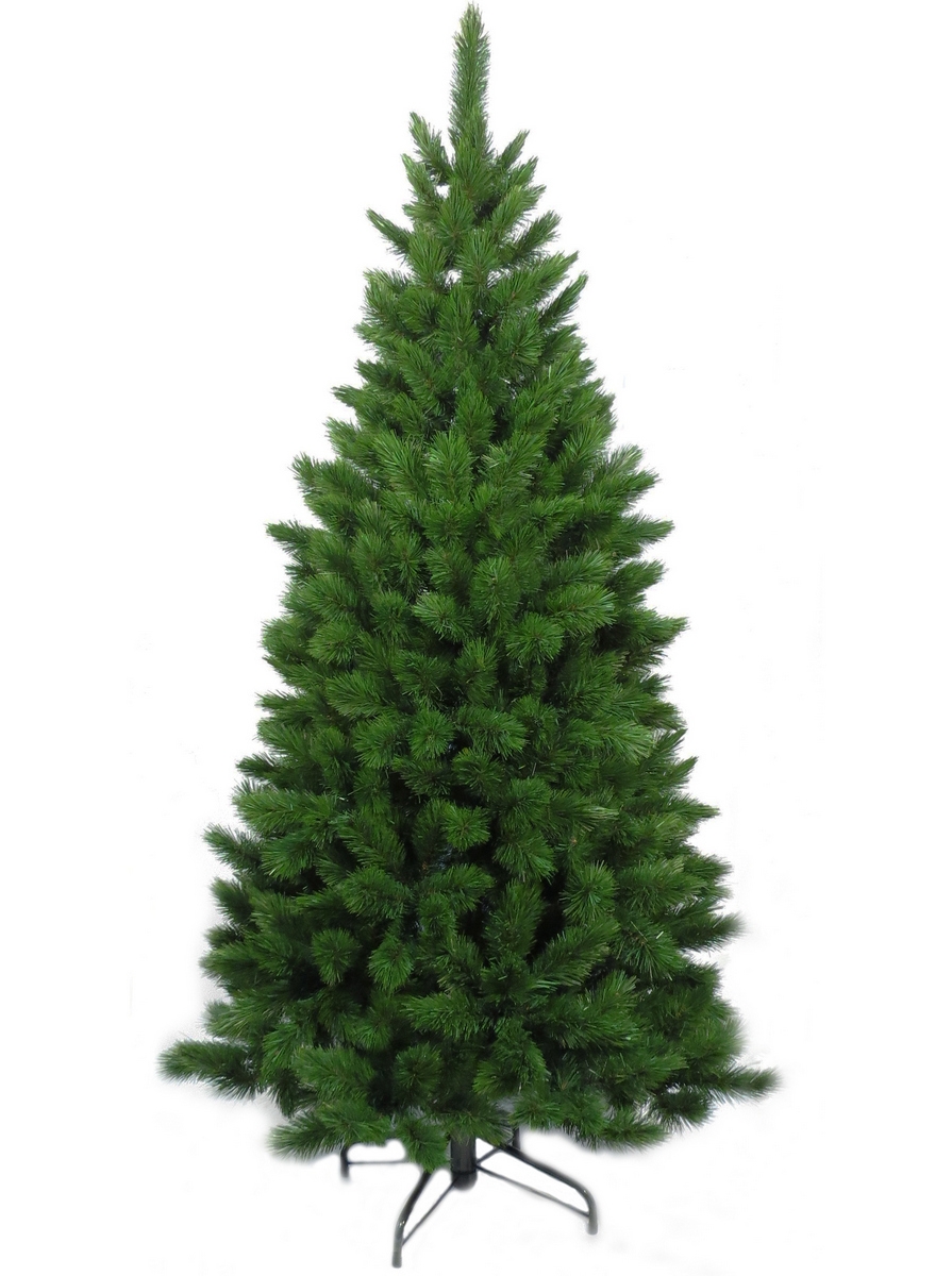 Фото Ель Triumph Tree Триумф Норд стройная - 260 см