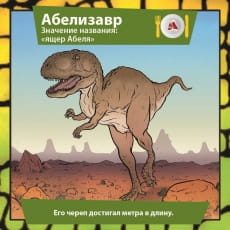 дополнительные фото