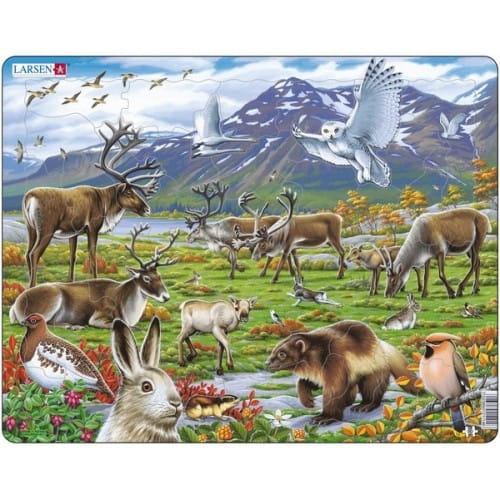 Пазл LARSEN Арктика - Животные