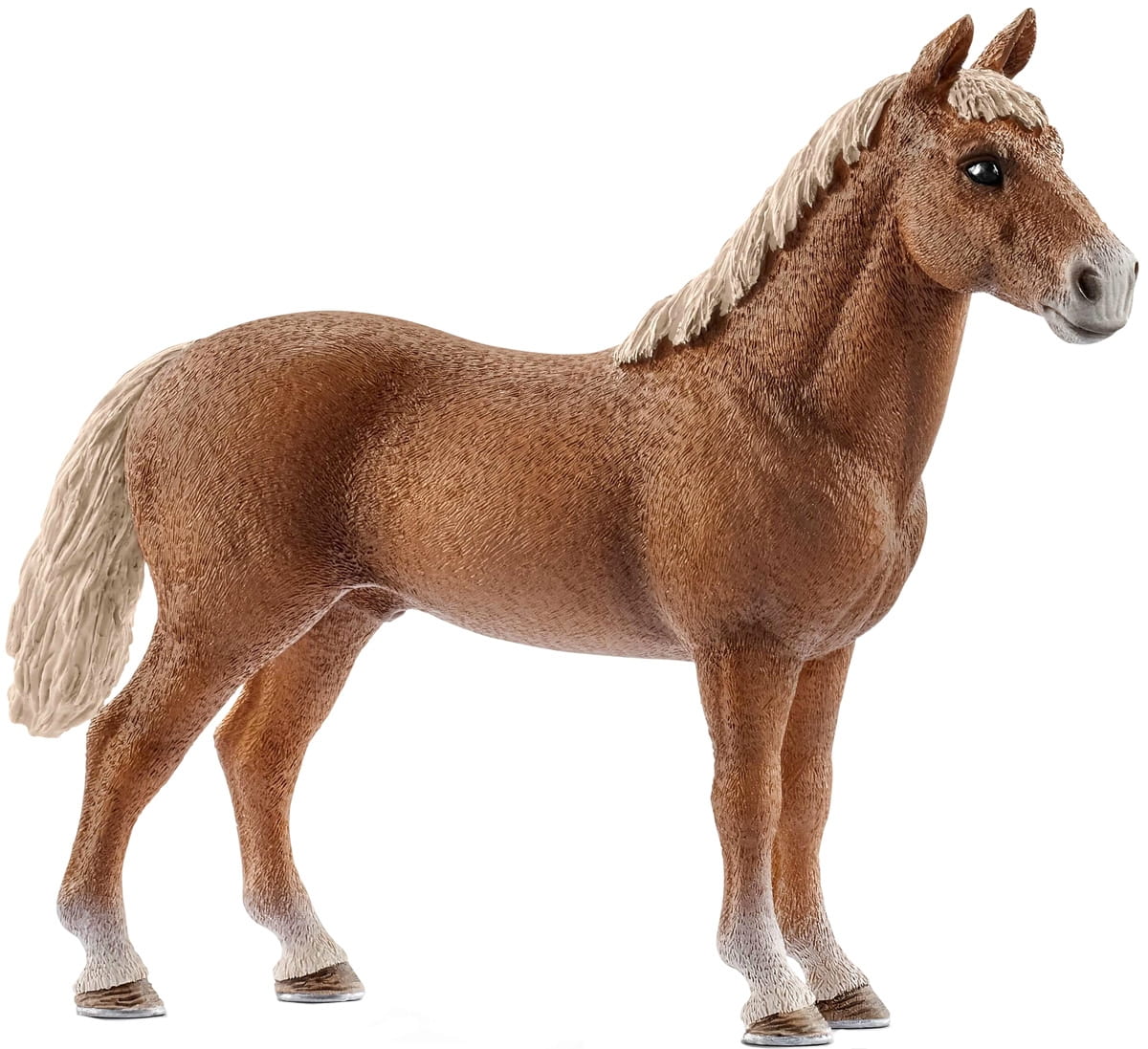   Schleich  