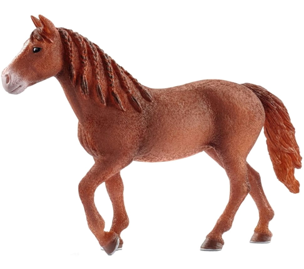   Schleich  