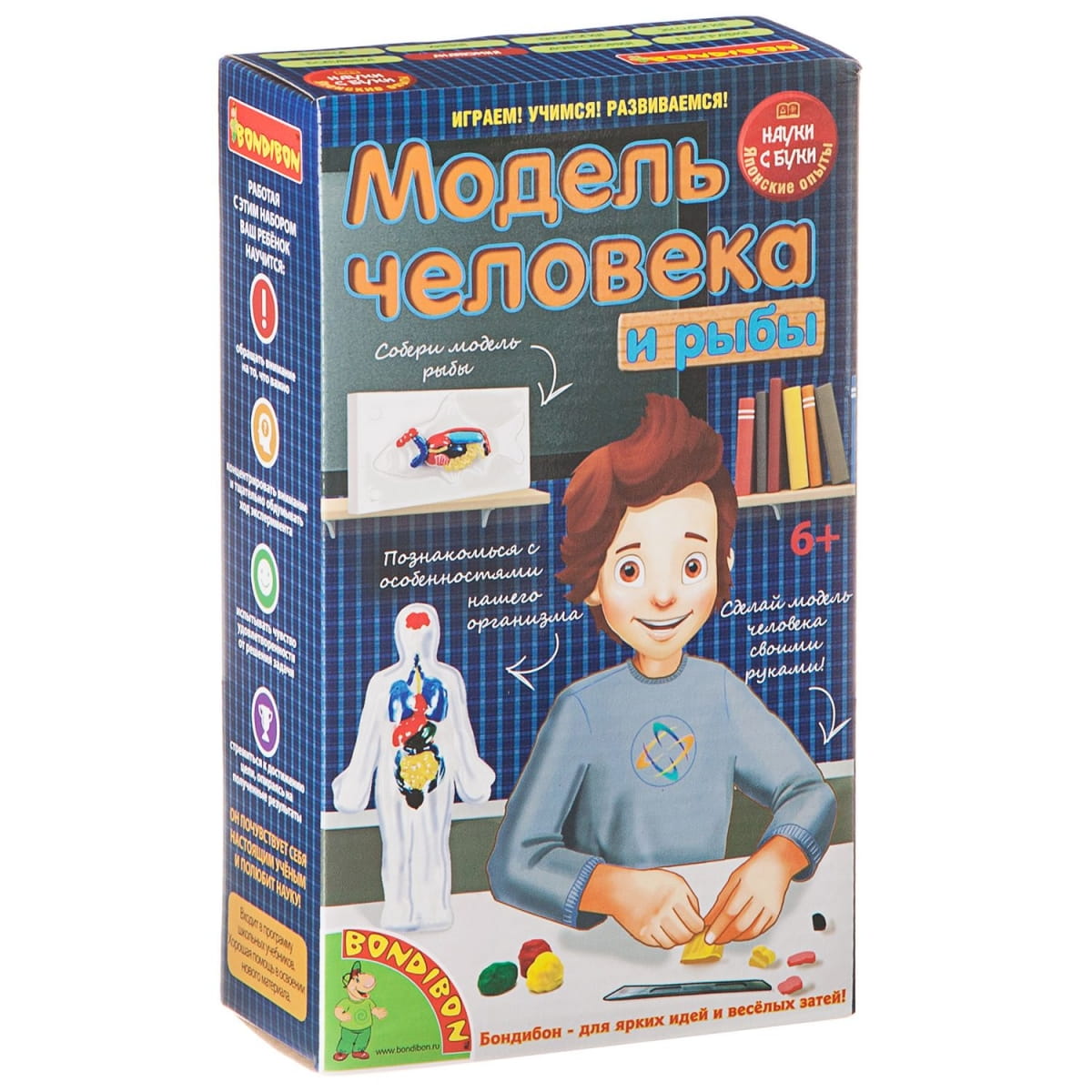 Фото Набор Bondibon Японсие опыты Науки с Буки - Модель человека