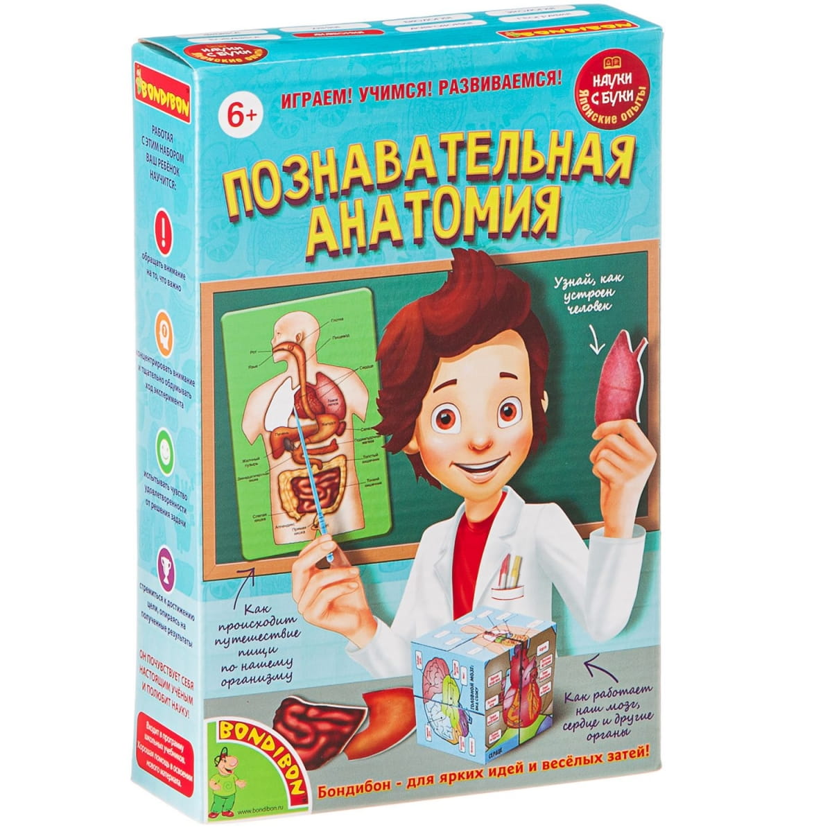 Фото Набор Bondibon Японские опыты Науки с Буки - Познавательная анатомия