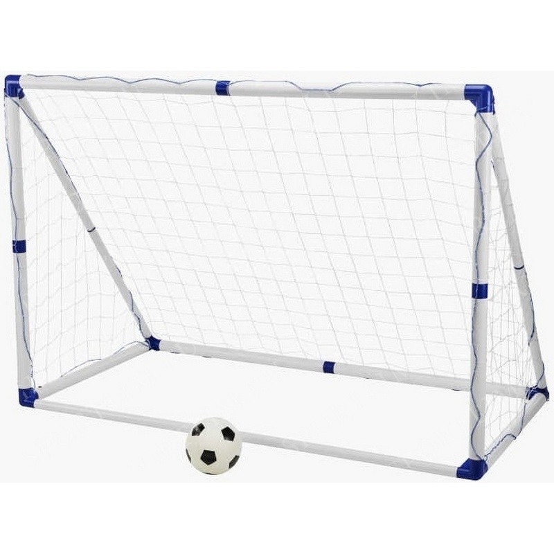    DFC Pro Sports Goal300S