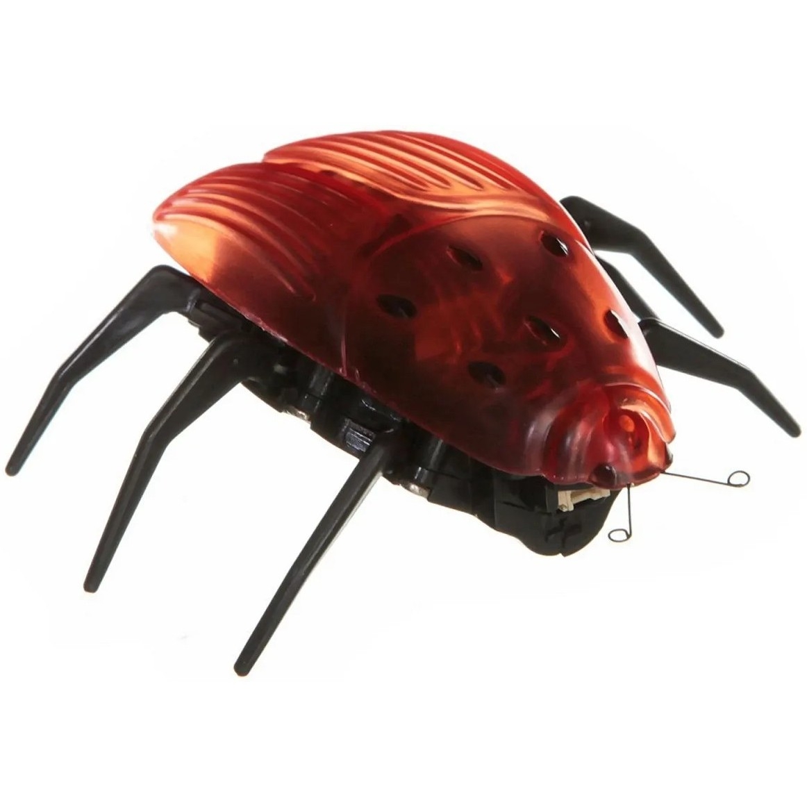 Фото Интерактивная игрушка Shenzhen Toys Жук