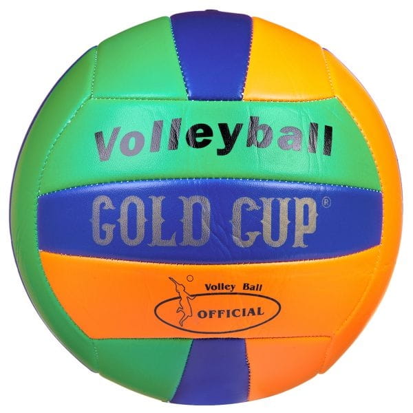    Master Series Volleyball Gold Cup