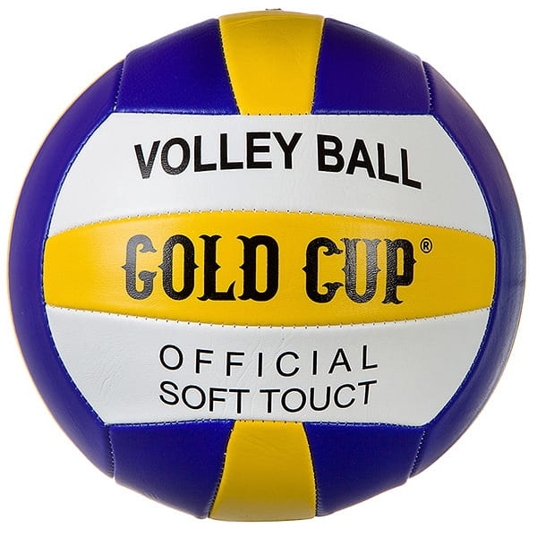    Master Series Volleyball Gold Cup