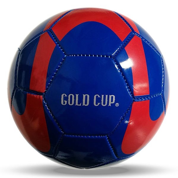 Ворота Hasttings opengoaal SSG Standard