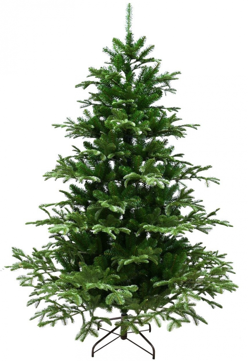 Фото Ель Forest Market Toronto Spruce - 210 см