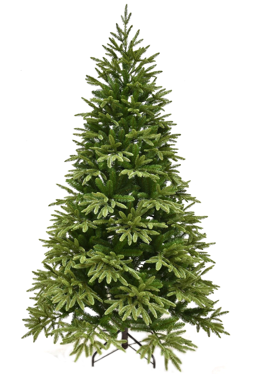 Фото Ель Forest Market Alpine Fir - 210 см