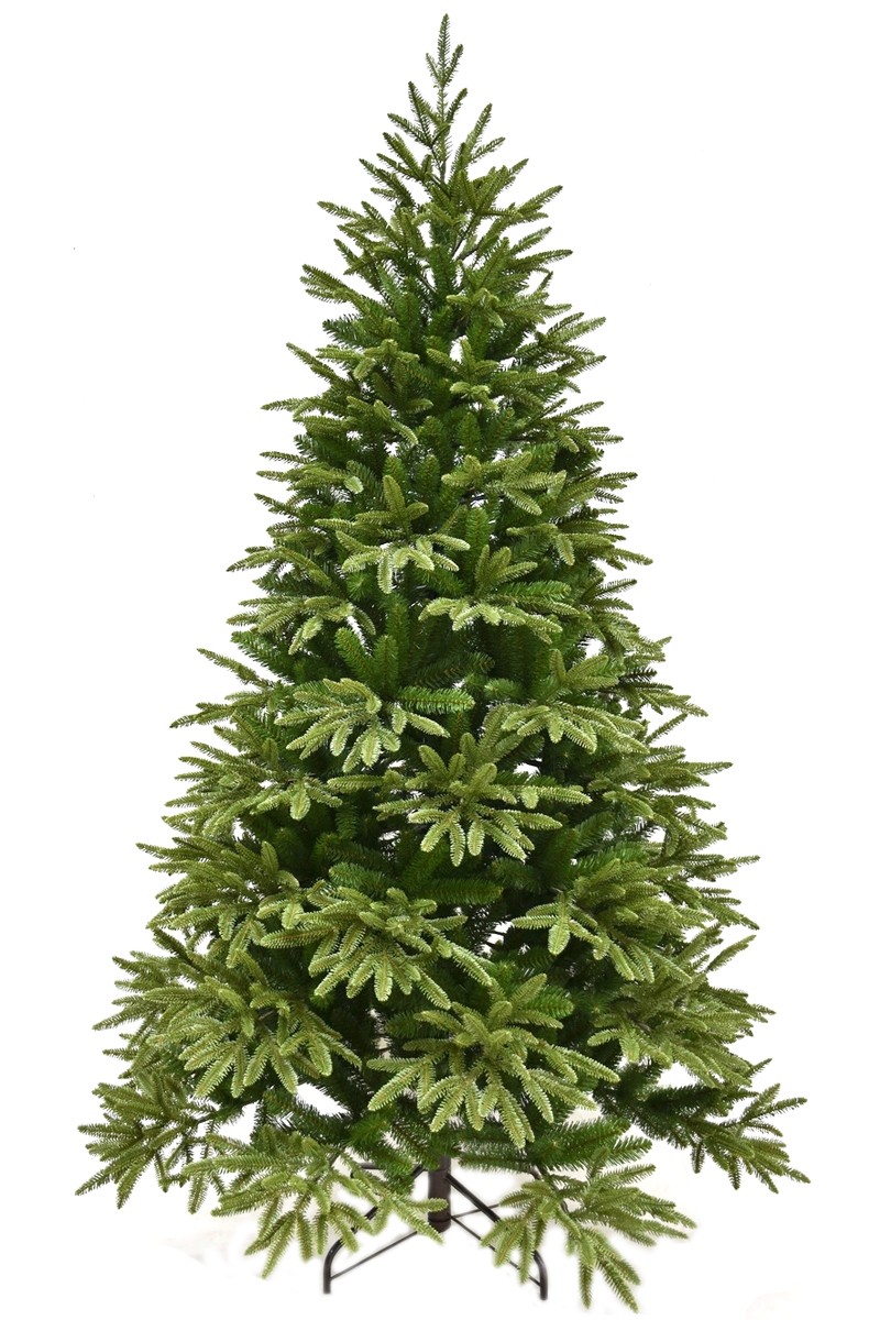   Forest Market Alpine Fir - 210 