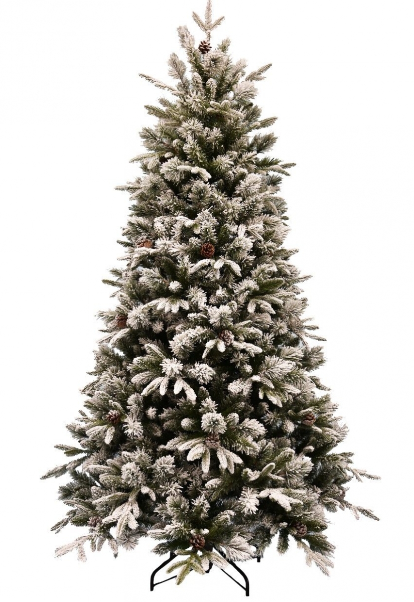 Фото Ель Forest Market Ice Queen Fir заснеженная с шишками - 180 см