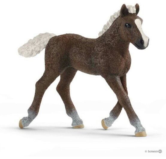   Schleich  