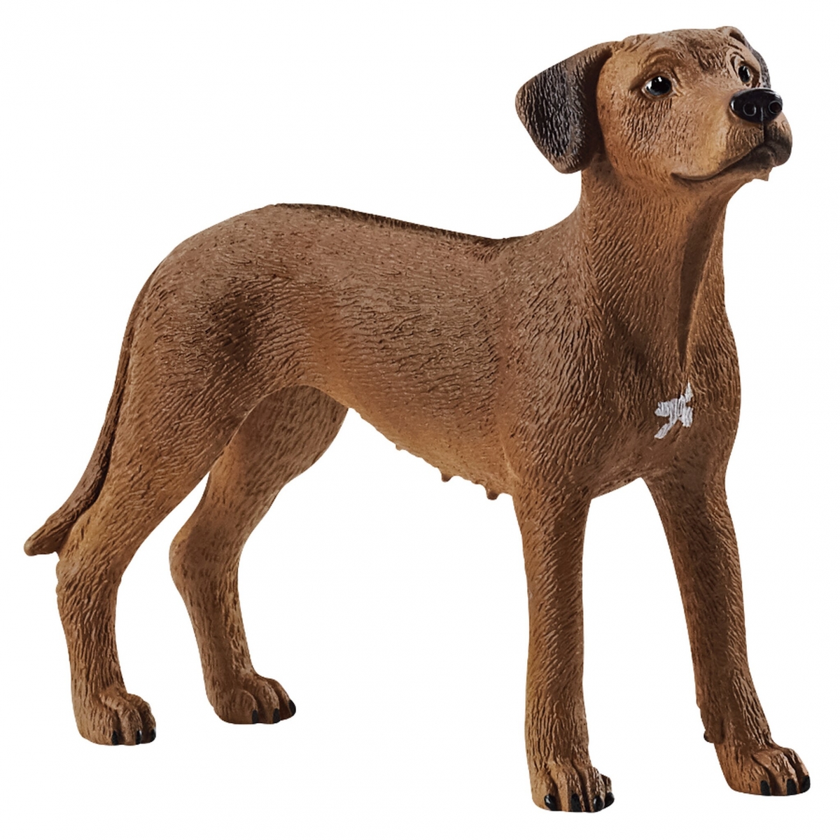   Schleich  