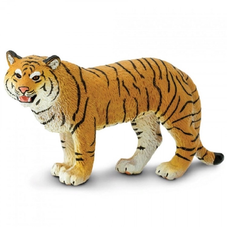 Saffari Tiger