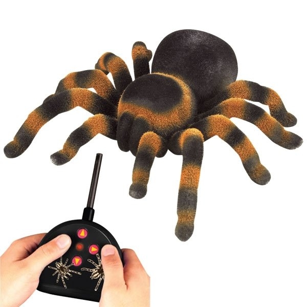 Фото Радиоуправляемый паук Edu-Toys