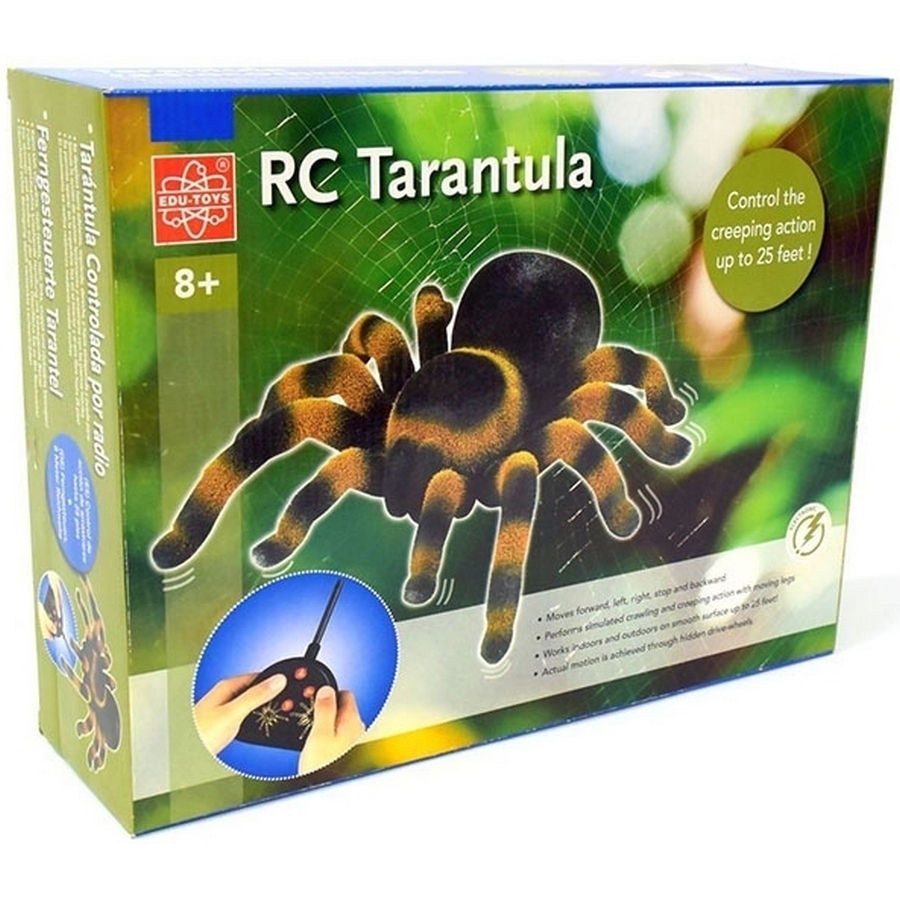 Фото Радиоуправляемый паук Edu-Toys