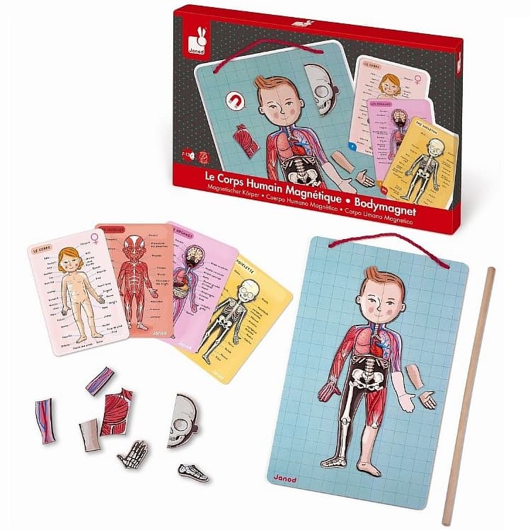 Части Тела Игры Картинки – Telegraph