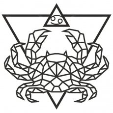 дополнительные фото