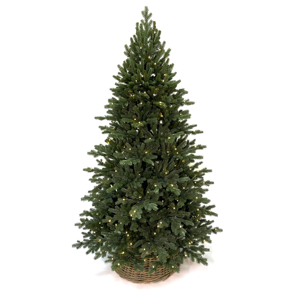   Triumph Tree    - 185  (200 )