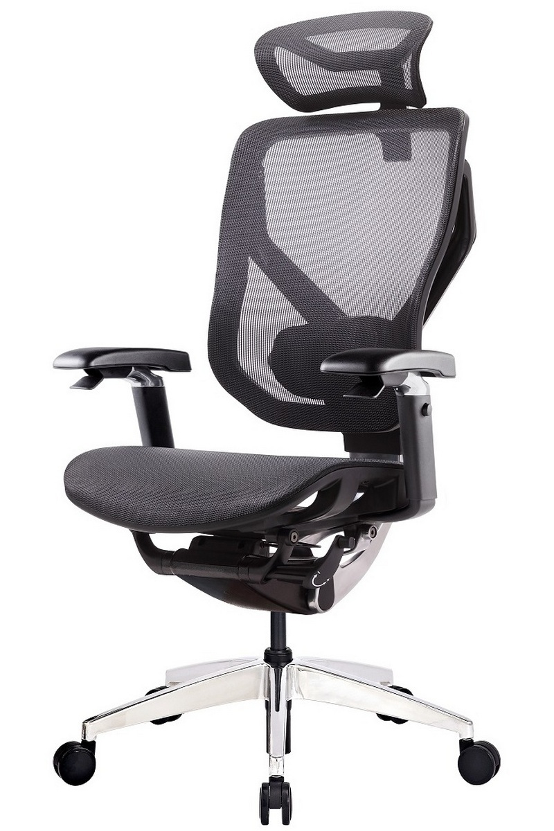 Фото Премиум эргономичное компьютерное кресло GT Chair Vida X - черное