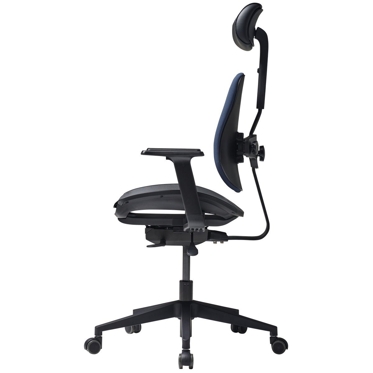 Фото Кресло ортопедическое Duorest Gold D2500G-DAM - синее