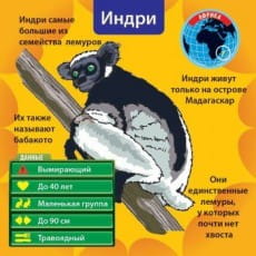 дополнительные фото