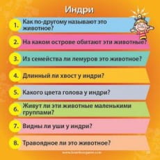 дополнительные фото