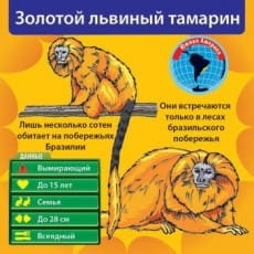 дополнительные фото
