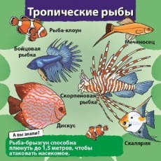 дополнительные фото