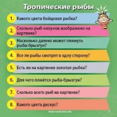 дополнительные фото