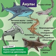 дополнительные фото