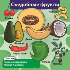 дополнительные фото